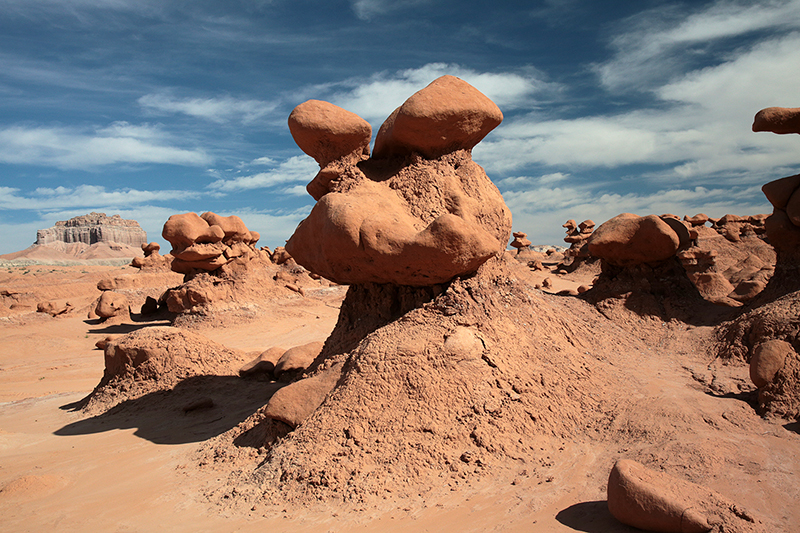 Bison : Antelope Island : Utah : Landscape Photos : Richard Moore : Photographer